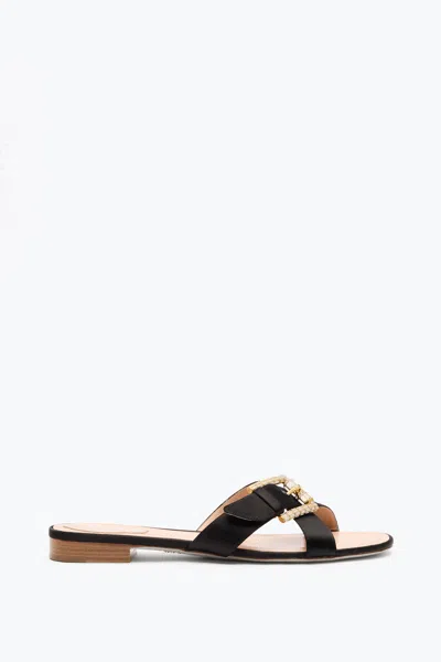 René Caovilla Martha Black Flat Sandal 10