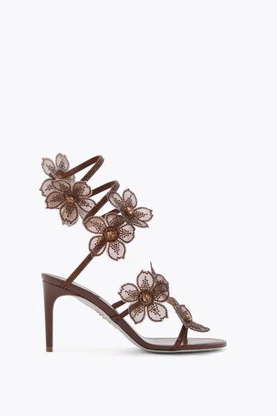 René Caovilla Peach Flower Brown Sandal 80