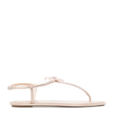 René Caovilla Peach Flower Sandals In Brown