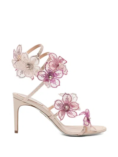 René Caovilla Peach Flower Sandals In Pink