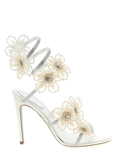 René Caovilla Peach Flower Sandals In White