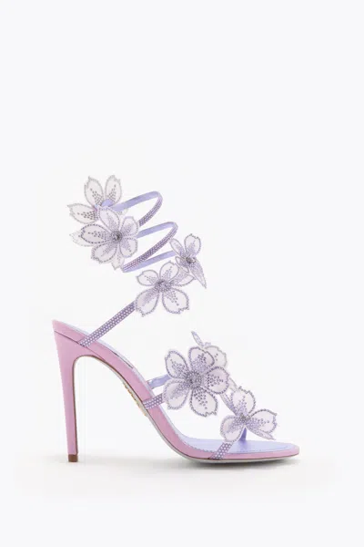 René Caovilla Peach Flower Wisteria Sandal 105 In Purple