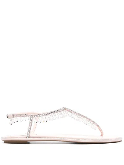 René Caovilla Diana Crystal-embellished Sandals In Pink