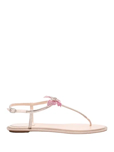 RENÉ CAOVILLA PINK T-STRAP SANDALS