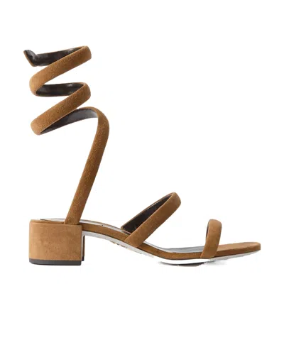 René Caovilla Round-headed High-heeled Sandals In Brown