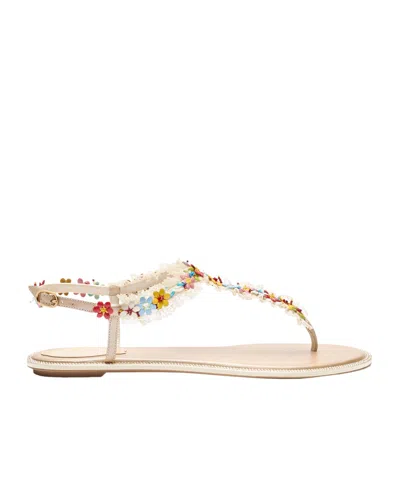 René Caovilla Round Toe Flat Sandals In Brown