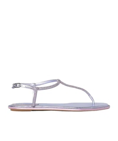 René Caovilla Round-toe Flat Sandals In Purple