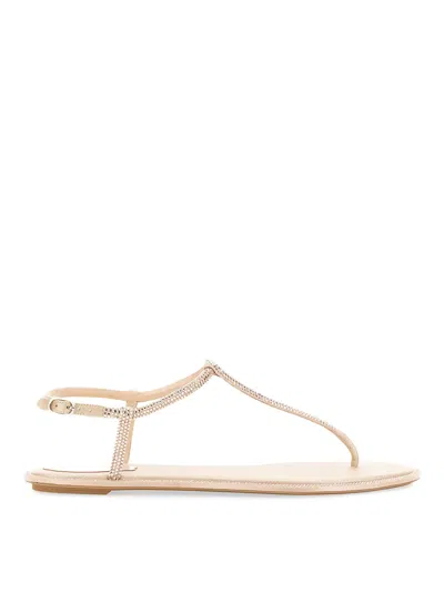 RENÉ CAOVILLA SANDAL DIANA
