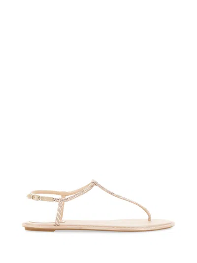 RENÉ CAOVILLA SANDAL "DIANA"
