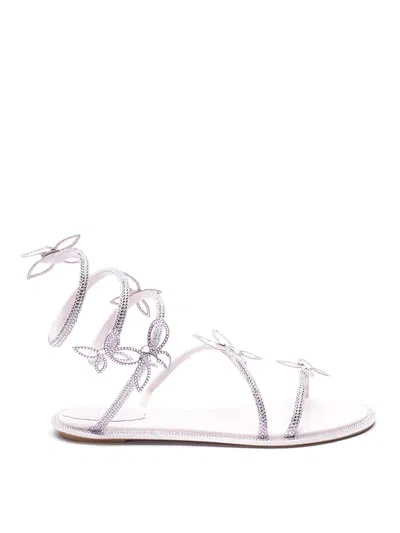 René Caovilla Sandals In Light Purple