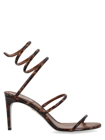 René Caovilla Cleo Tortoiseshell-effect Sandals In Brown
