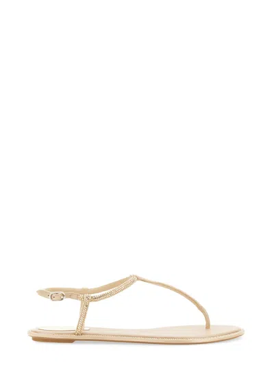 René Caovilla Logo Flat-bottomed Clip-toe Sandals In Gold