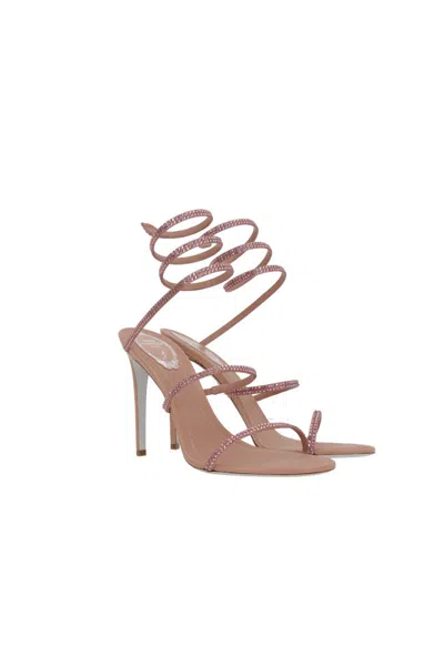 René Caovilla Sandals In Phard+rose