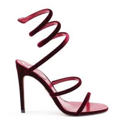 René Caovilla Sandals