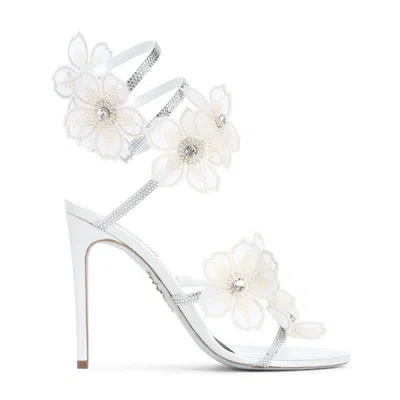 René Caovilla Sandals