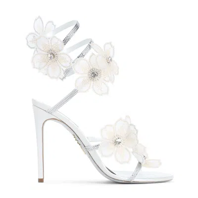 René Caovilla Sandals