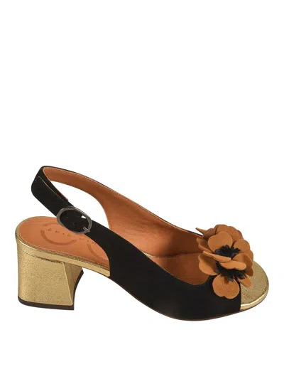 René Caovilla Sandals In Black