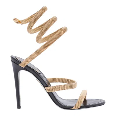 René Caovilla Sandals In Black