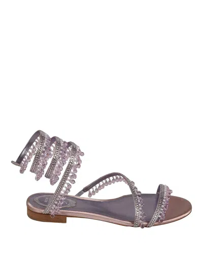 René Caovilla Sandals In Purple