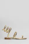 René Caovilla Serpente Sandals In Gold Leather In Gold