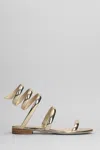 René Caovilla Serpente Sandals In Gold Leather In Gold