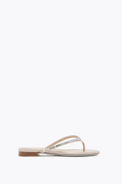 René Caovilla Spark Black Thong Sandal 10 In Multi