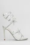 René Caovilla Star Cleo Sandals In Silver Leather In Silver