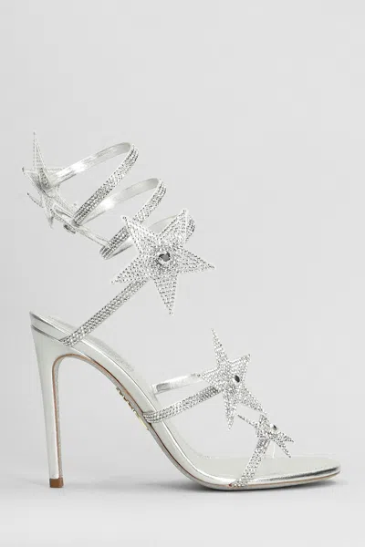 René Caovilla Star Cleo Sandals In Silver Leather
