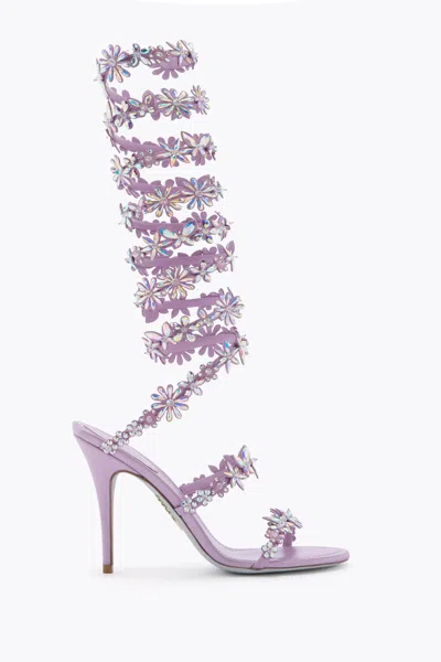 René Caovilla Super Eva Lilac Sandal 100 In Purple