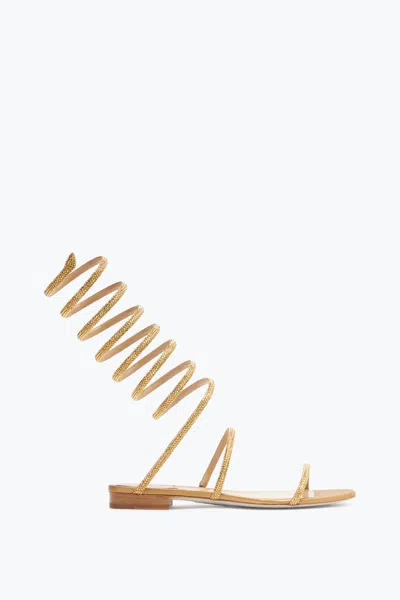 René Caovilla Supercleo Crystal Gold Sandal 10