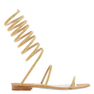 René Caovilla Rene Caovilla Supercleo Jeweled Crystal Flat Sandals In Gold