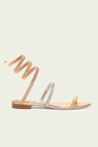 René Caovilla Trigold Cleo Tri-tone Flat Sandal 10 In Gold