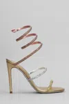 René Caovilla Womens Rene Caovilla Cleo 105 Leather Heeled Sandals