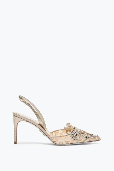 René Caovilla Veneziana Champagne Slingback 80 In Gold