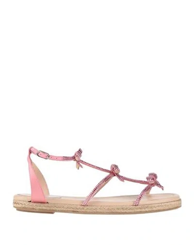 René Caovilla Rene' Caovilla Woman Espadrilles Blush Size 8 Textile Fibers In Pink