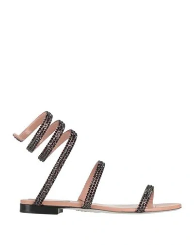 René Caovilla Rene' Caovilla Woman Sandals Antique Rose Size 7 Textile Fibers In Pink