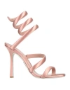 René Caovilla Rene' Caovilla Woman Sandals Antique Rose Size 7 Textile Fibers In Pink