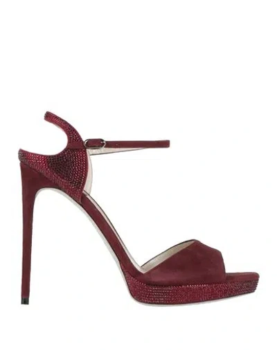 René Caovilla Rene' Caovilla Woman Sandals Burgundy Size 11 Leather In Red