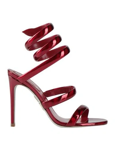 René Caovilla Rene' Caovilla Woman Sandals Burgundy Size 7.5 Calfskin In Red