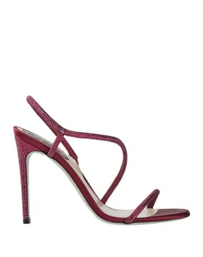 René Caovilla Rene' Caovilla Woman Sandals Burgundy Size 7.5 Textile Fibers