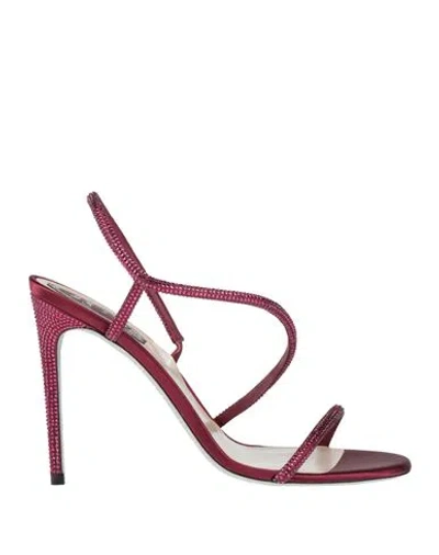René Caovilla Rene' Caovilla Woman Sandals Burgundy Size 9 Textile Fibers In Red