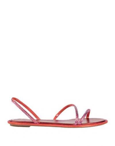 René Caovilla Rene' Caovilla Woman Sandals Coral Size 8 Textile Fibers In Red