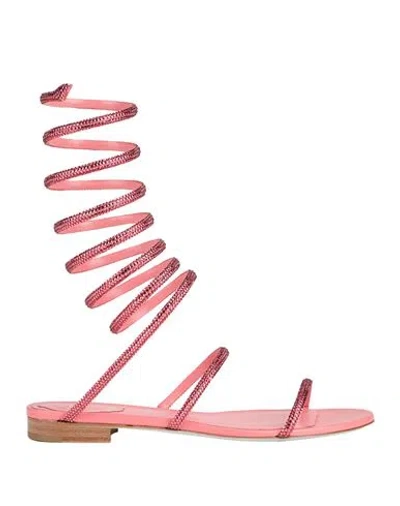René Caovilla Rene' Caovilla Woman Sandals Coral Size 9 Leather, Textile Fibers In Red