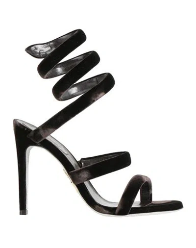 René Caovilla Rene' Caovilla Woman Sandals Dark Brown Size 6 Textile Fibers In Black