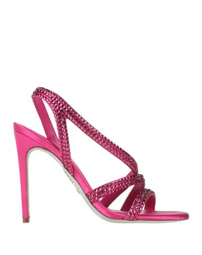 René Caovilla Rene' Caovilla Woman Sandals Fuchsia Size 7 Textile Fibers In Pink