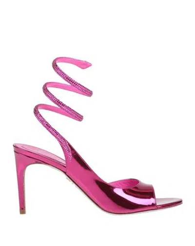 René Caovilla Rene' Caovilla Woman Sandals Fuchsia Size 8 Calfskin