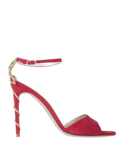 René Caovilla Rene' Caovilla Woman Sandals Garnet Size 10 Leather In Red