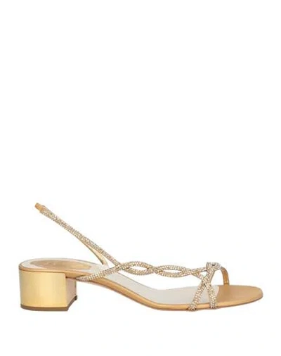 René Caovilla Rene' Caovilla Woman Sandals Gold Size 6 Textile Fibers