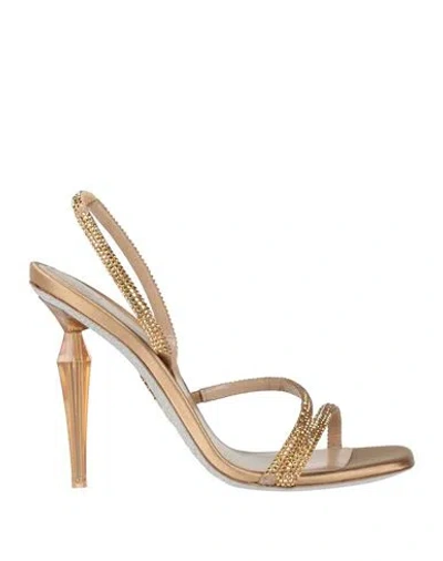 René Caovilla Rene' Caovilla Woman Sandals Gold Size 5.5 Textile Fibers