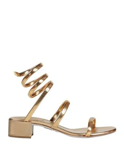 René Caovilla Rene' Caovilla Woman Sandals Gold Size 6.5 Metal